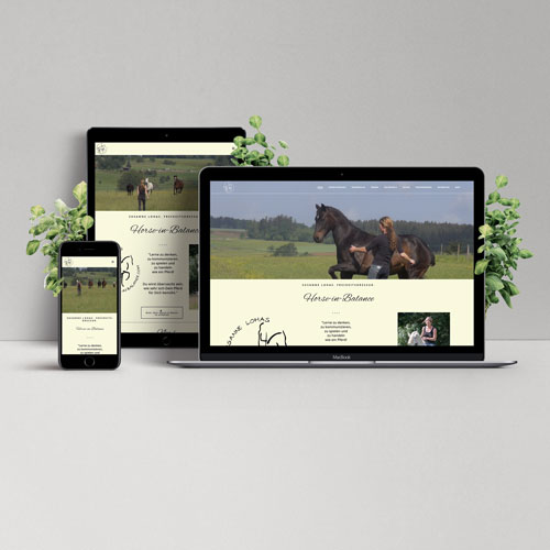 zoodesign webdesign für susanne lohas