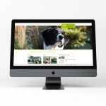 zoodesign webdesign für die tierklinik reif